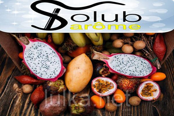 Ароматизатор Solubarome Bodensee (Смесь экзотических фруктов) 5 мл. Ароматизатор Solubarome Bodensee (Смесь экзотических фруктов) 5 мл.
