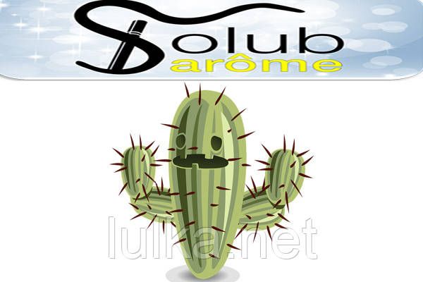 Ароматизатор Solubarome Cactus (Кактус) 5мл. Ароматизатор Solubarome Cactus (Кактус) 5мл.
