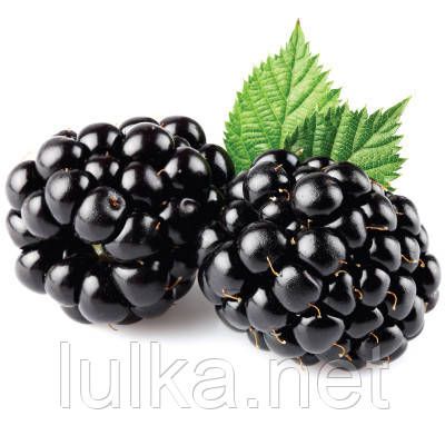 Ароматизатор TPA Blackberry (Ежевика) 10мл. Ароматизатор TPA Blackberry (Ежевика) 10мл.