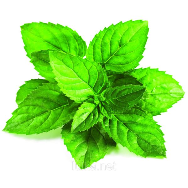 Ароматизатор TPA Spearmint (М'ята) 10мл. Ароматизатор TPA Spearmint (М'ята) 10мл.