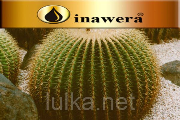 Ароматизатор Inawera Кактус 5мл. Ароматизатор Inawera Кактус 5мл.