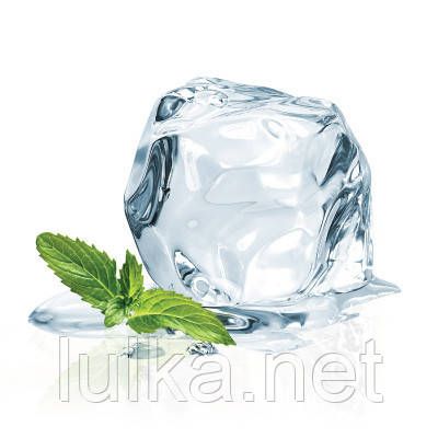 Ароматизатор TPA Koolada (Холодок) 10мл.