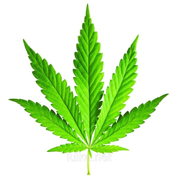 Ароматизатор TPA Mary Jane (Мэри Джейн) 10мл. Ароматизатор TPA Mary Jane (Мэри Джейн) 10мл.