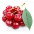 Ароматизатор TPA Cherry Extract (Нежная Вишня) 10мл. Ароматизатор TPA Cherry Extract (Нежная Вишня) 10мл.