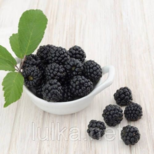 Ароматизатор TPA Boysenberry (Шелковица) 5мл. Ароматизатор TPA Boysenberry (Шелковица) 5мл.