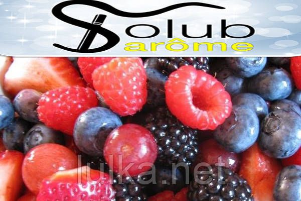 Ароматизатор Solubarome Fred Master V3 (сбор лесных ягод с анисом и ментолом) 5 мл. Ароматизатор Solubarome Fred Master V3 (сбор лесных ягод с анисом и ментолом) 5 мл.