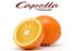 Ароматизатор Capella Juicy Orange (Сочный апельсин) 5 мл. Ароматизатор Capella Juicy Orange (Сочный апельсин) 5 мл.