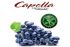 Ароматизатор Capella Concord Grape with Stevia (Виноград зі стевією) 5 мл. Ароматизатор Capella Concord Grape with Stevia (Виноград зі стевією) 5 мл.