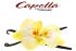 Ароматизатор Capella French Vanilla v2 (Французька ваніль) 5 мл. Ароматизатор Capella French Vanilla v2 (Французька ваніль) 5 мл.